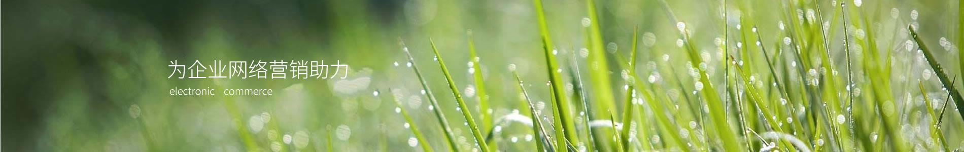ൺľܿƼ޹˾